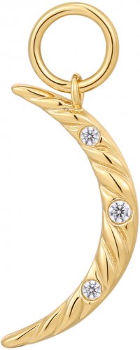 Ania Hair Gold Moon Earring Charm