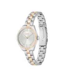 Boss Women's Sage Stainless Steel Two Colour Case And Link Bracelet With Silver White Dial Watch