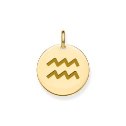 9ct Gold Aquarius Zodiac Pendant 