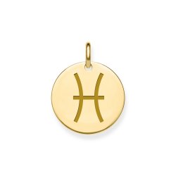 9ct Gold Pisces Zodiac Pendant 