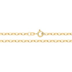 9ct Gold Diamond Cut Belcher Hollow Chain 
