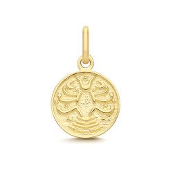 9ct Yellow Gold Cancer Zodiac Coin Pendant 