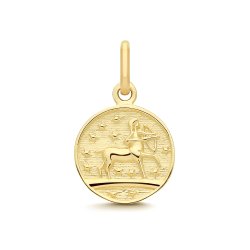 9ct Yellow Gold Sagittarius Zodiac Coin Pendant 