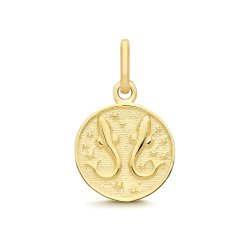 9ct Yellow Gold Pisces Zodiac Coin Pendant 