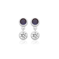 Silver & Co Stud Drop Earrings SEG0121