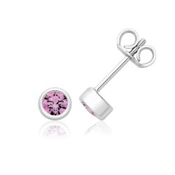 Silver & Co February Birth Stone (amethyst) Earrings SEG0102