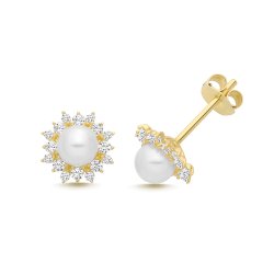 9ct Yel Gold Freshwater Pearl & Cz Studs 