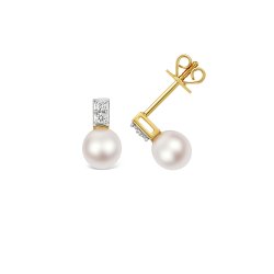 Diamond & Akoya Pearl Earrings In 18ct Gold 