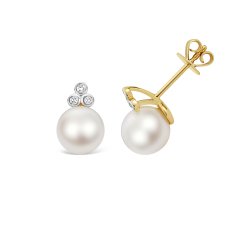 Fresh Water Pearl Earrings In 9ct Gold 