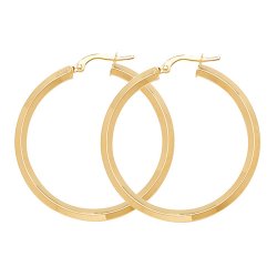 9ct Gold Hoops ER998-