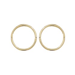 9ct Gold Hinged Sleepers 