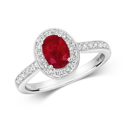 Diamond & Ruby Oval Cluster With Set Shoulders Ring In 18ct White Gold 
