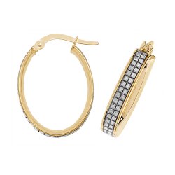 9ct Gold Moondust Oval Hoops ER1063-
