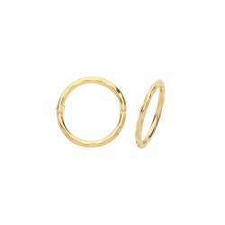 9ct Gold Hinged Hoops 