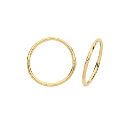 9ct Gold Hinged Hoops 