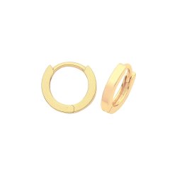 9ct Gold Hinged Hoops ER020-