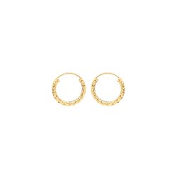 9ct Gold Twisted Sleepers ES181-