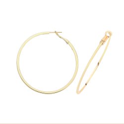 Hoop Thickness 1.3mm X 2 ER1194-