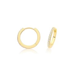 Silver Gold Plated Cz Hinged Earrings 