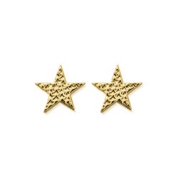 Chlobo Gold Sparkle Star Stud Earrings