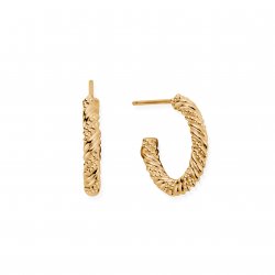 Chlobo Gold Entwined Passion Hoops