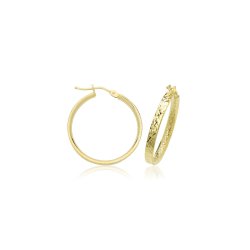 9ct Gold D/c Hoops Earrings ER1221-