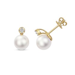 Diamond & Akoya Pearl Earrings In 18ct Gold 