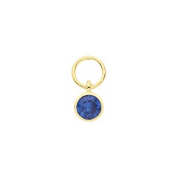 9ct Gold Single Stone Earring Charm 