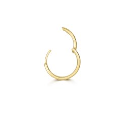 18ct Gold Round Tube Cartilage Hoop ESQ2001-