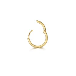 9ct Gold Round Tube Cartilage Hoop ES2002-