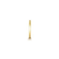 18ct Gold Round Tube Cartilage Hoop ESQ2002-
