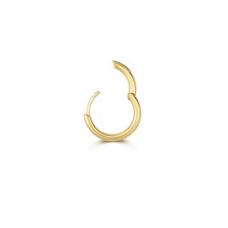 18ct Gold Round Tube Cartilage Hoop ESQ2003-