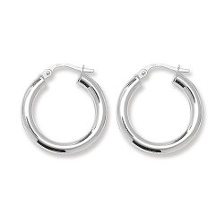 Silver Tube Hoops 