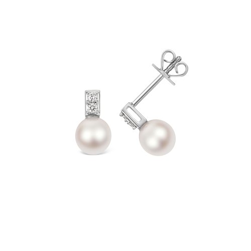 Diamond & Akoya Pearl Earrings In 18ct White Gold 