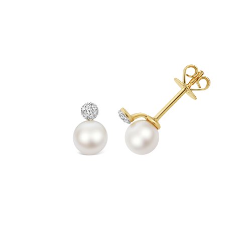 Fresh Water Pearl Earrings In 9ct Gold 