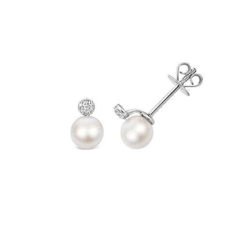 Fresh Water Pearl Earrings In 9ct Gold 