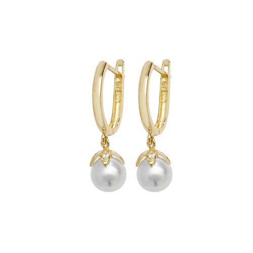 9ct Gold Drops 