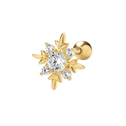 9ct Gold Cz Compass Cartilage Stud 