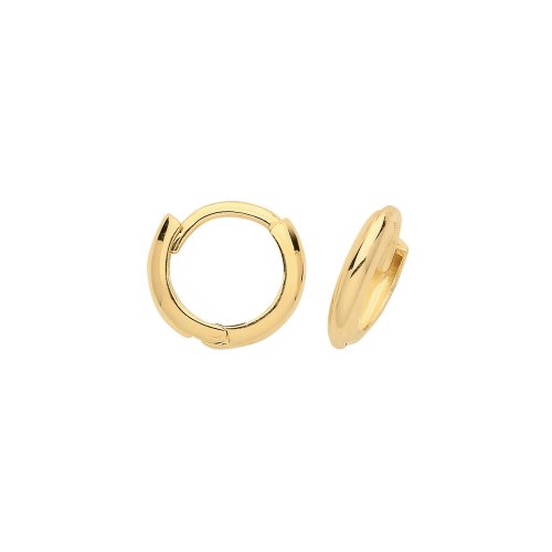 9ct Gold Hinged Hoops 