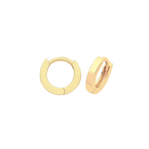 9ct Gold Hinged Hoops ER020-