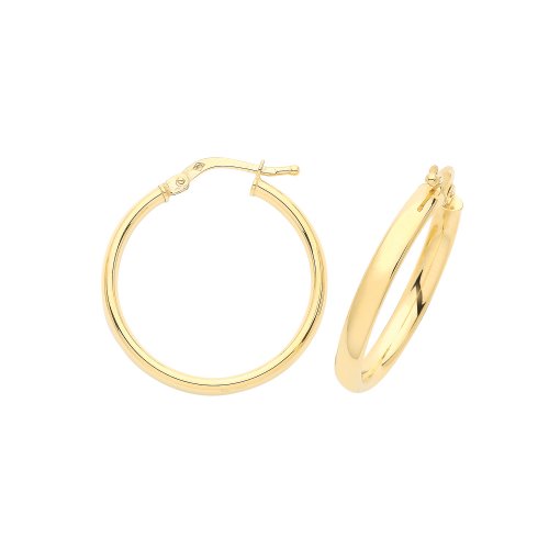 9ct Gold Hoops ER890-