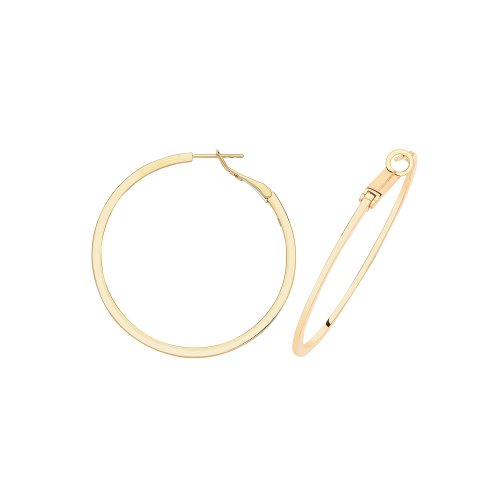 Hoop Thickness 1.3mm X 2 ER1194-