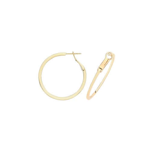 Hoop Thickness 1.3mm X 2 ER1194-
