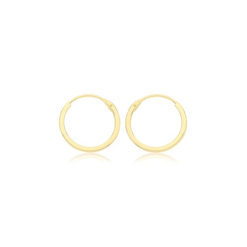 9ct Gold Sleepers ES157-