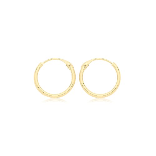 9ct Gold Sleepers ES156-