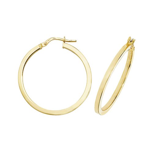9ct Gold Square Hoops ER947-