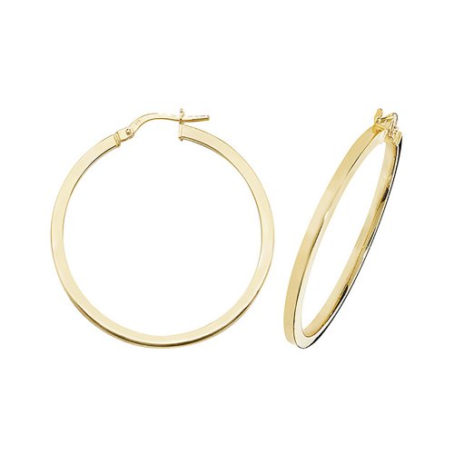 9ct Gold Square Hoops ER947-