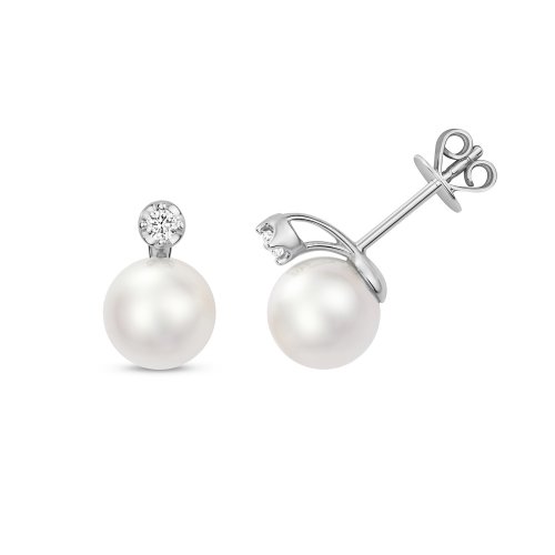 Diamond & Akoya Pearl Earrings In 18ct White Gold 