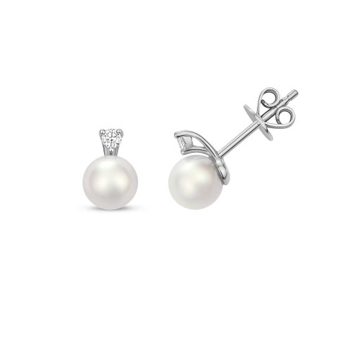 Diamond & Akoya Pearl Earrings In 18ct White Gold 