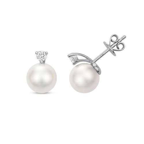 Diamond & Akoya Pearl Earrings In 18ct White Gold 